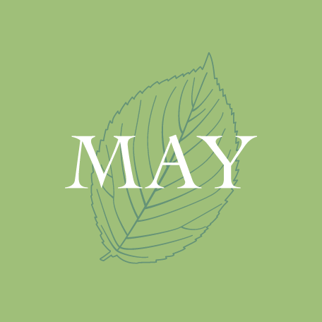 5月営業カレンダー